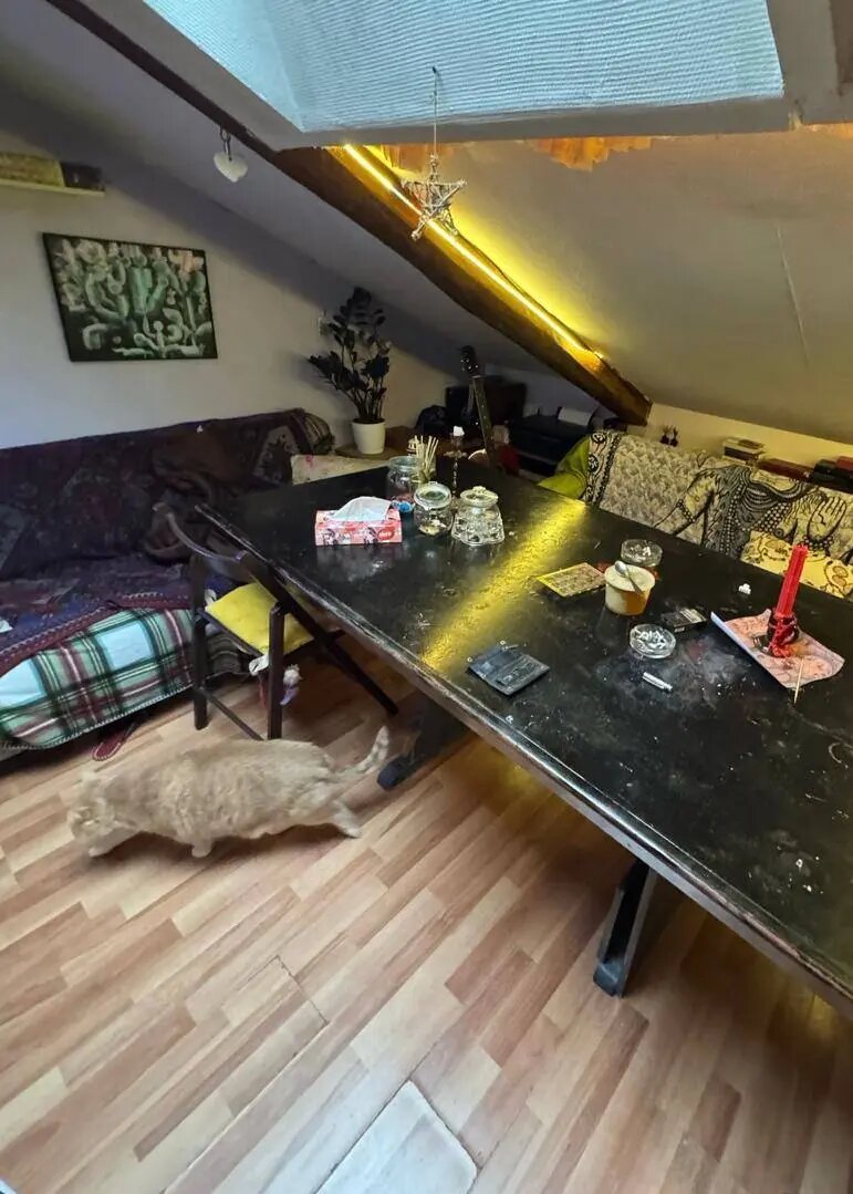    Фото: прокуратура Петербурга