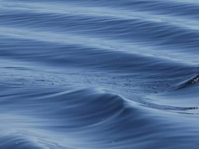    Фото: ГТРК Карелия