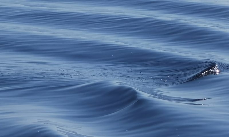    Фото: ГТРК Карелия