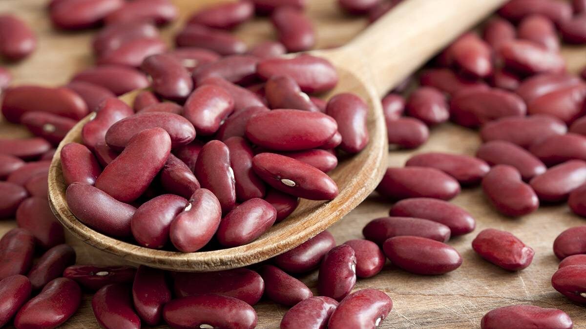    Фото: Shutterstock