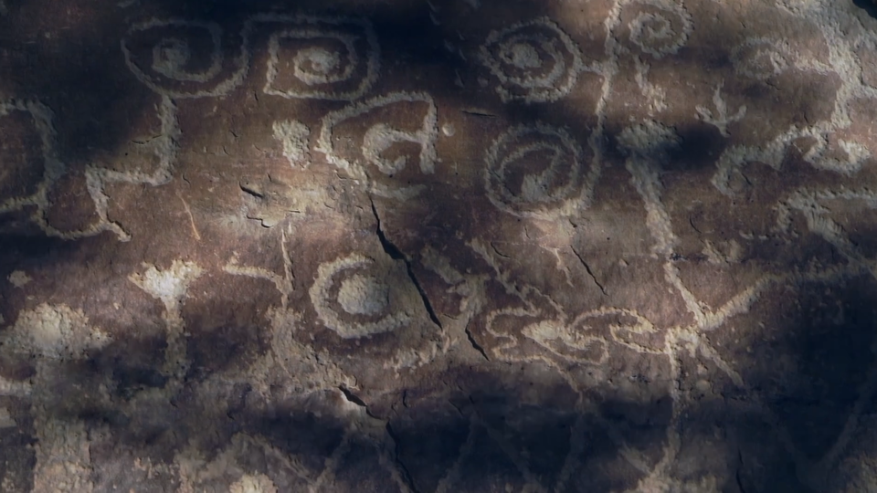 ФОТО: Кадр из программы "Тайны Чапман", РЕН ТВ