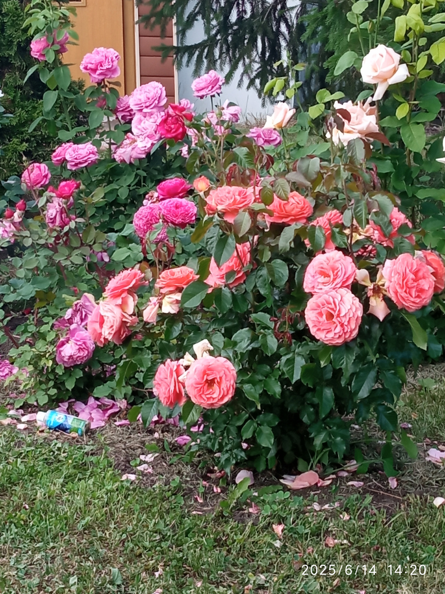 фото личное