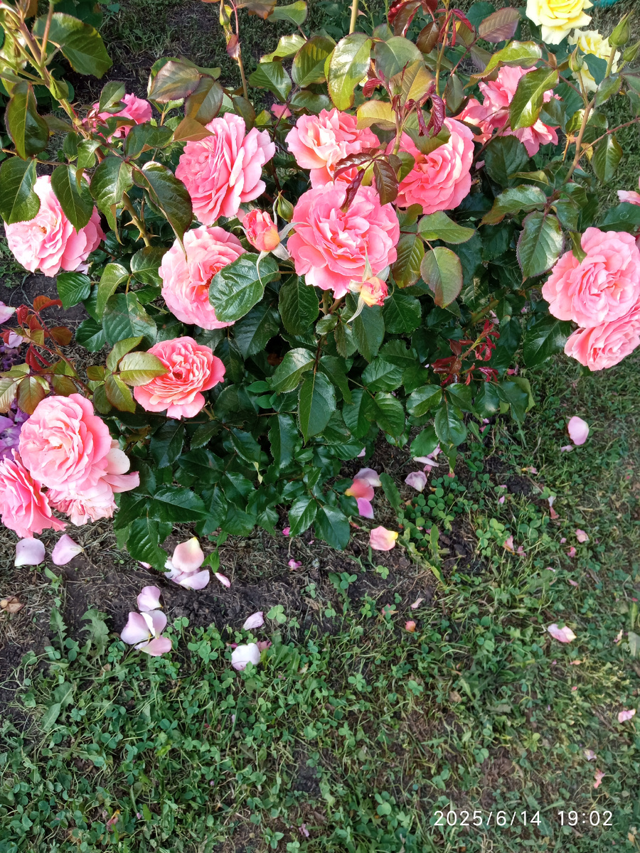 фото личное