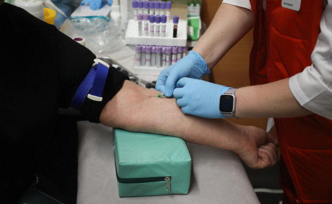    © Александр Глуз / «Петербургский дневник»