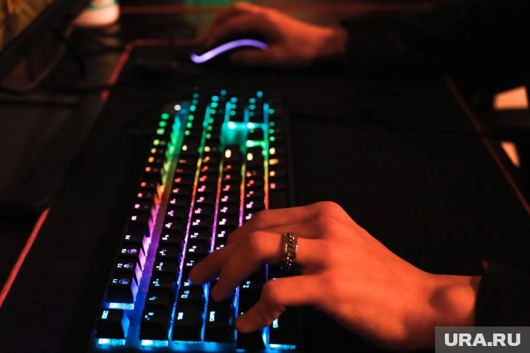     Тюменская область продолжает лидировать по цифровому развитию региона