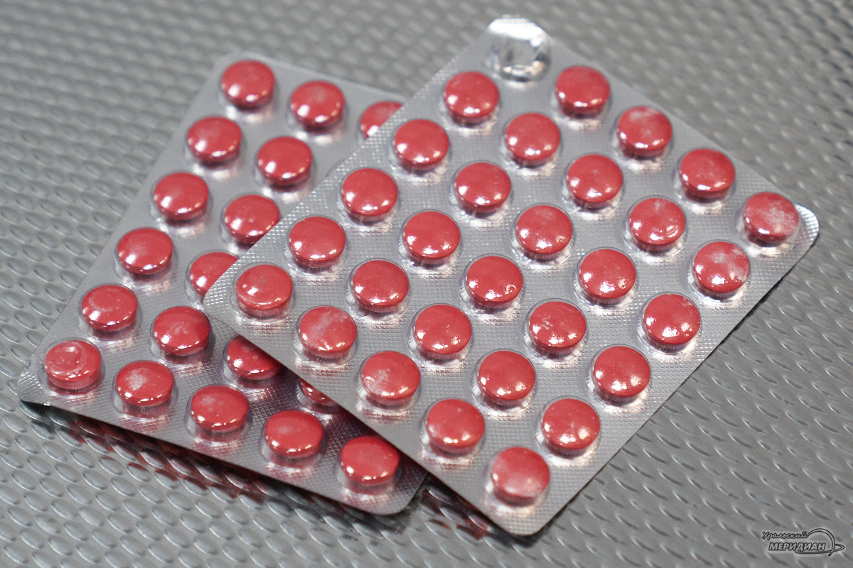    Фото: Лидия Аникина © ИА «Уральский меридиан»