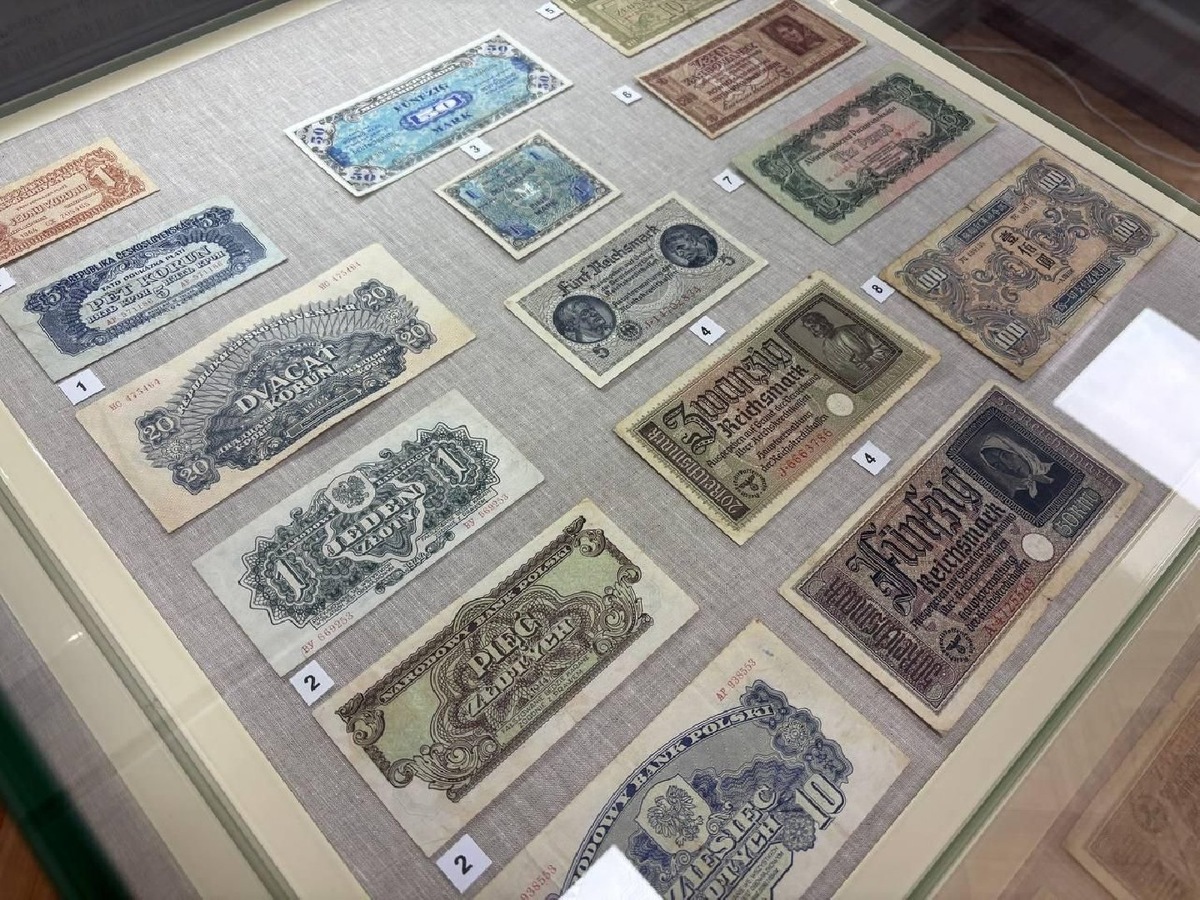    Фото: пресс-служба Администрации городского округа Дубна