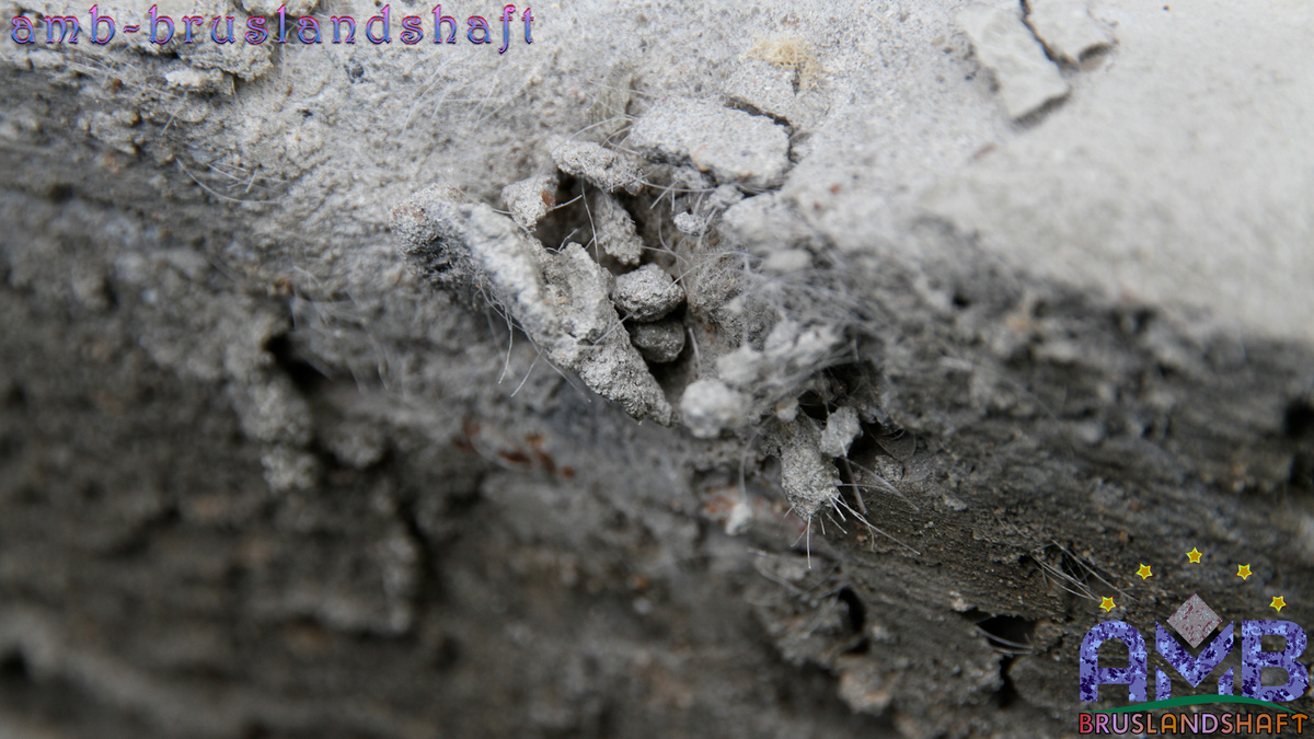 фибра_волокно_стяжка_выравнивание_бетона