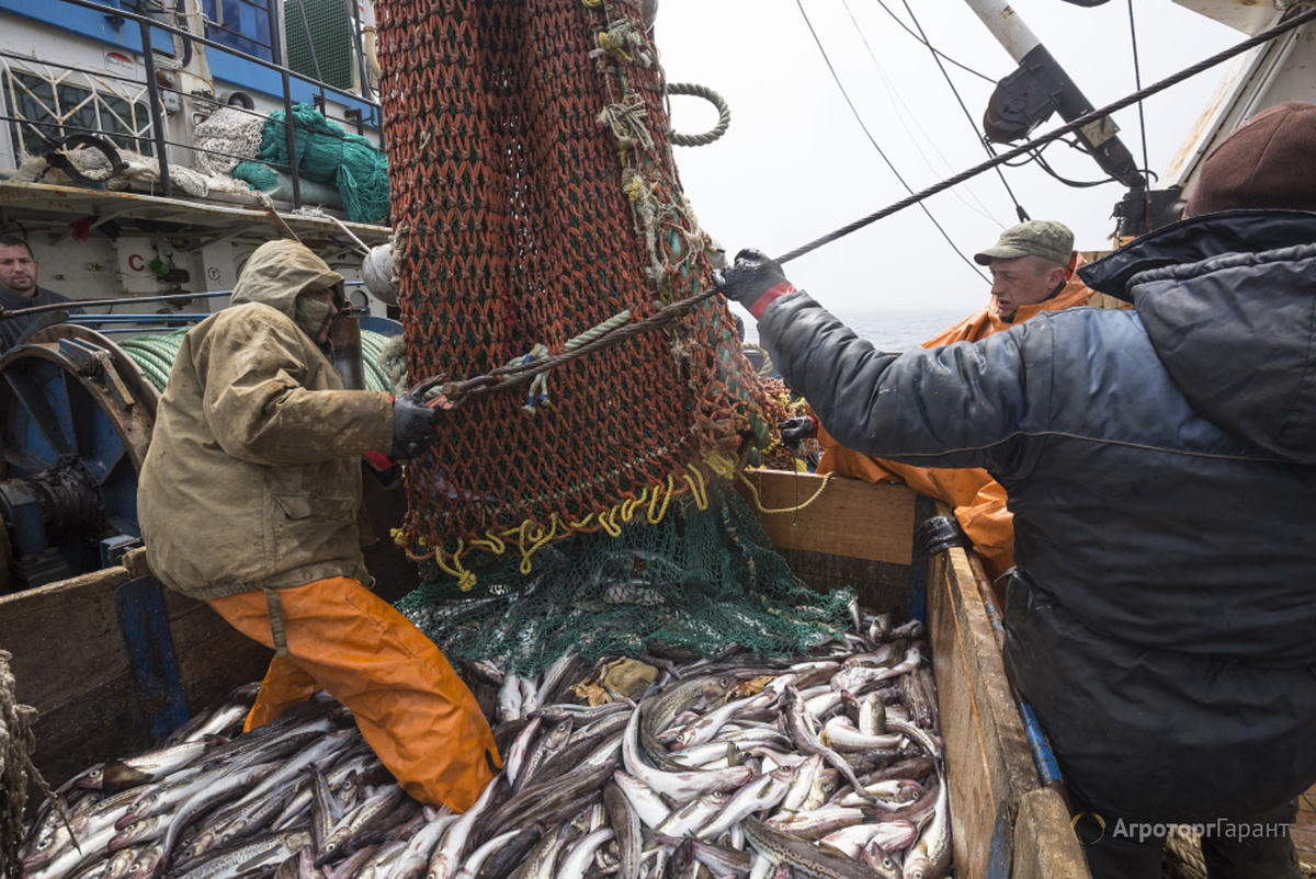 Для иллюстрации
