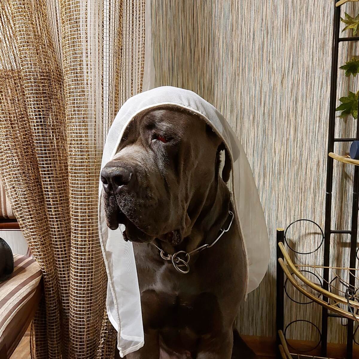 Фото из личного архива