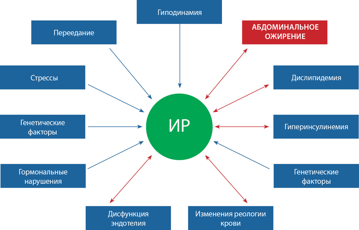 Механизмы развития ИР непросты: причины и следствие нередко меняются местами.