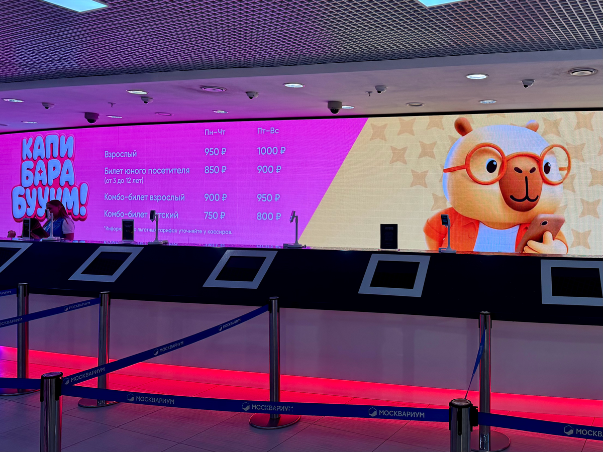 Стоимость билетов на выставку «Капибарабууум» в Москвариуме 