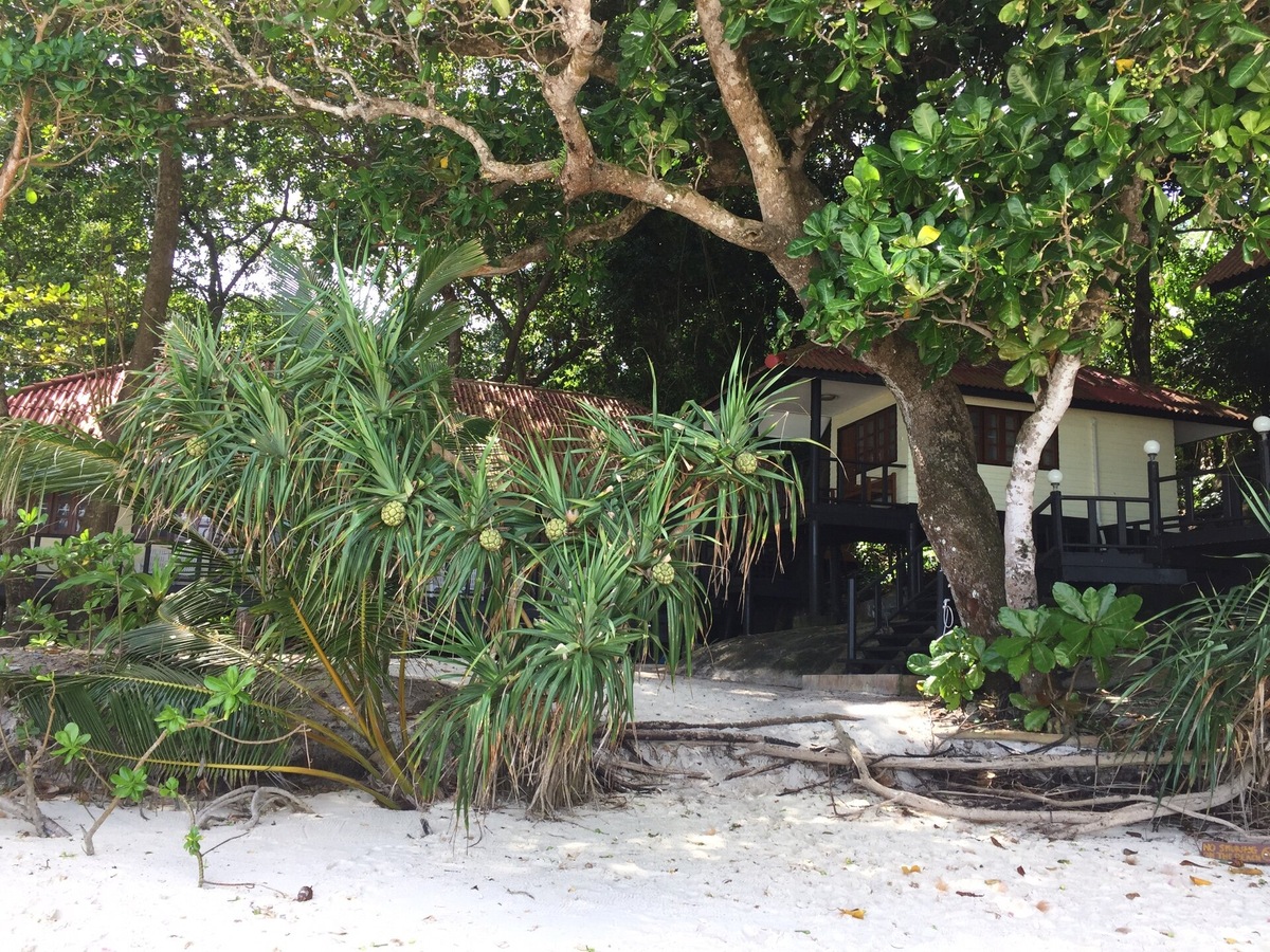 Прямой рейс? Роскошь, которую мы иногда себе позволяем. Один шаг — и мы на белом песке под жарким солнцем