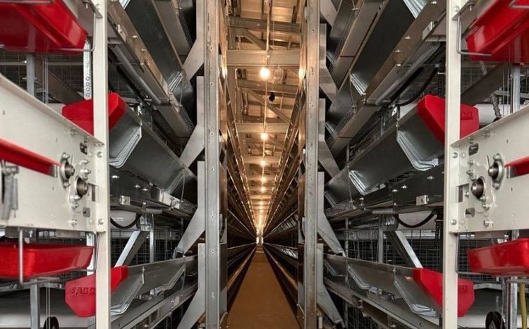    Фото: Соцсети губернатора Смоленской области Василия Анохина