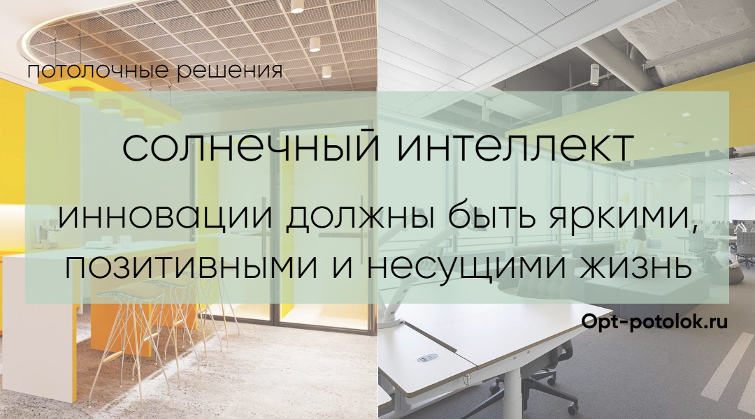 Белые потолочные панели для офисов в любых цветовых решениях. Потолочные Решения, opt-potolok.ru