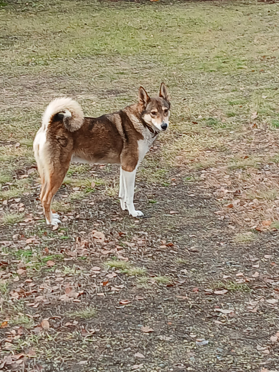 Фото моё как и все другие. 14.11.2025г.