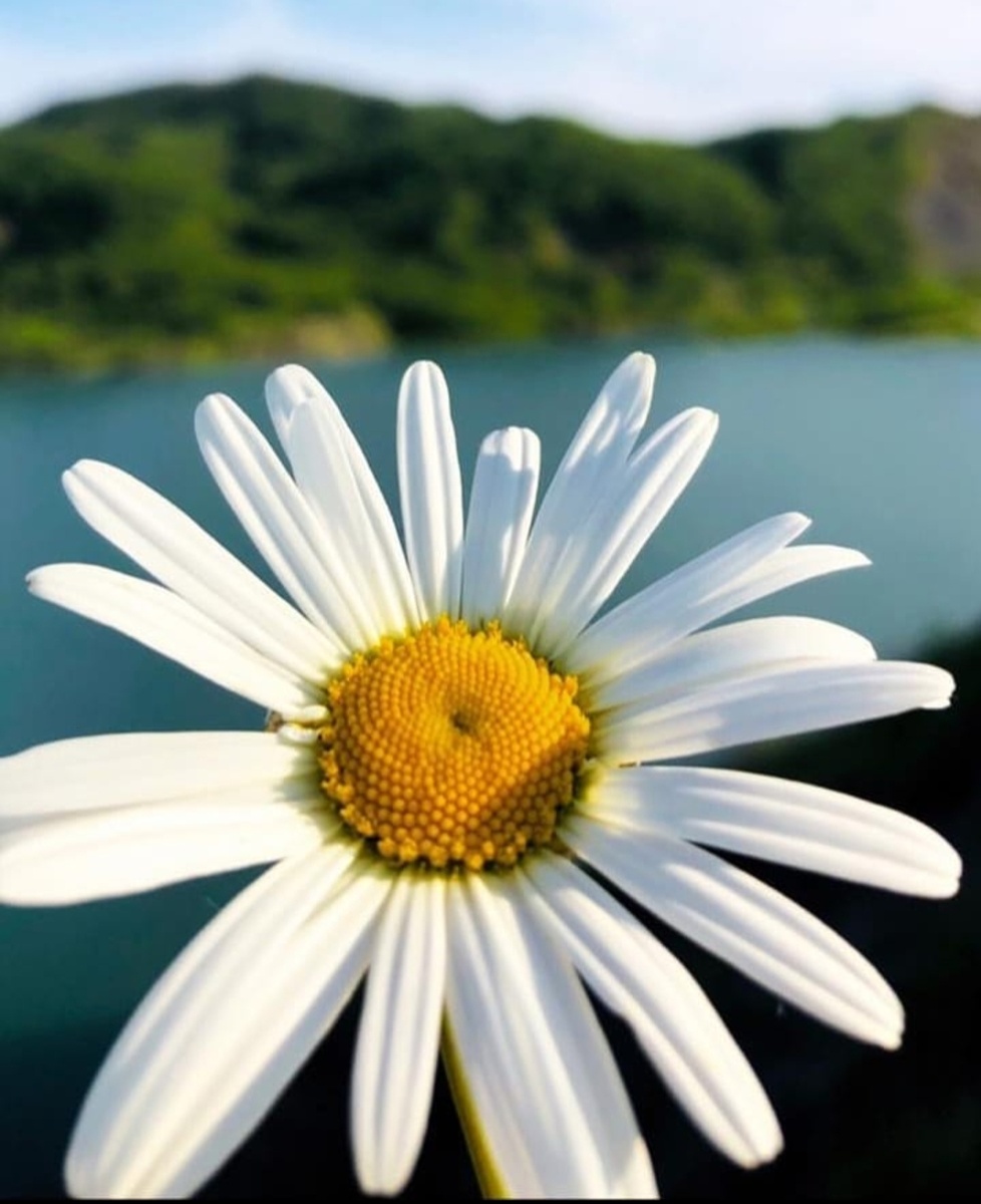 Улыбнитесь 😊 лето придёт 