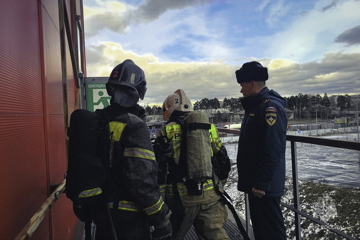     Фото: МЧС по Свердловской области