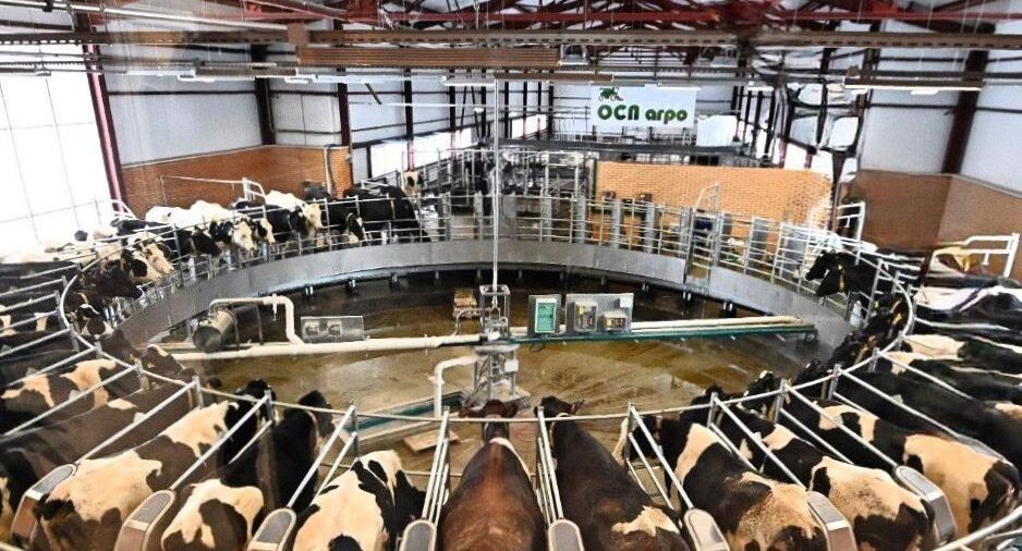    Медиасток.РФ