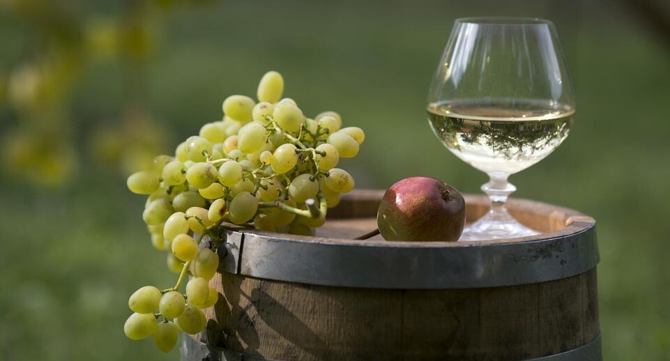    Nikolay Gyngazov/Global Look Press / www.globallookpress.com