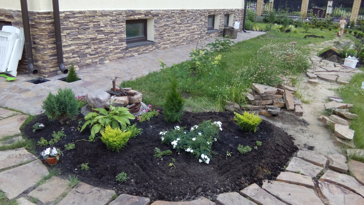 В центре этой смешной композиции Смарагд, который виден слева на фото выше, фото 2016год