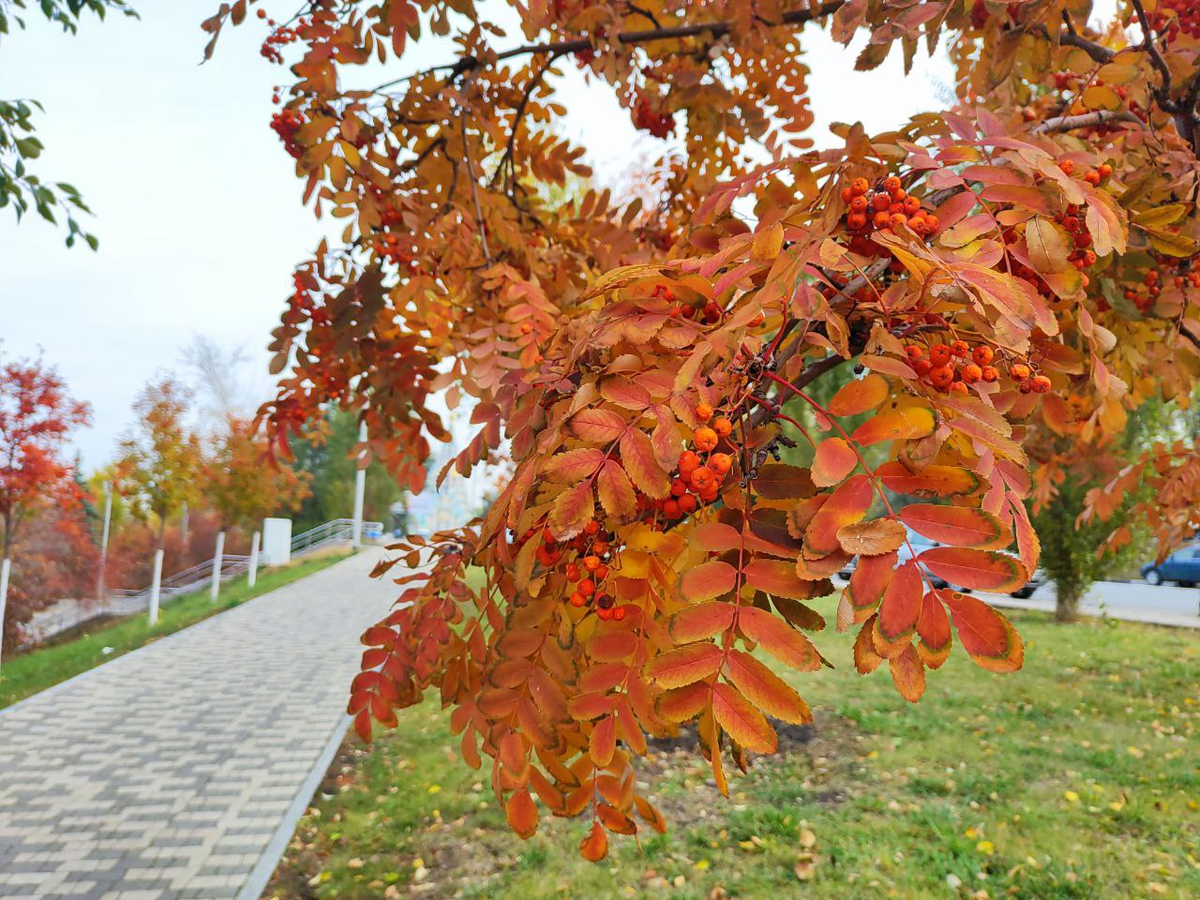 Фото автора.