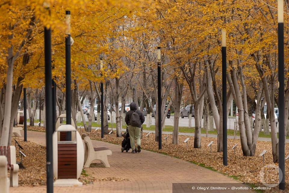    Фото: Олег Димитров / "Городские вести"