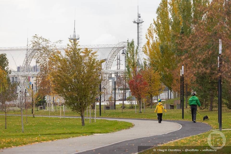    Фото: Олег Димитров / "Городские вести"