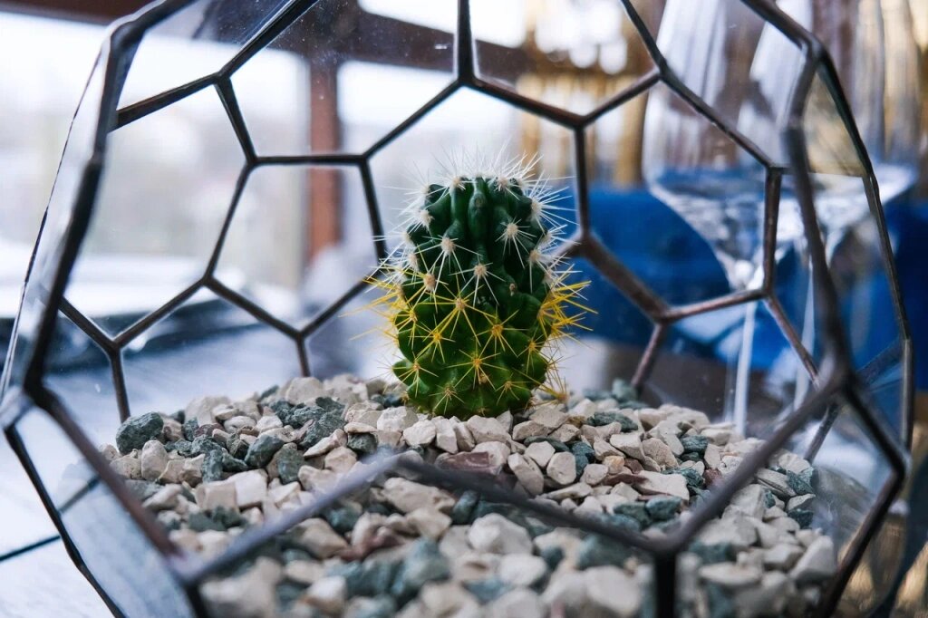 Фото: Гала Амарандо