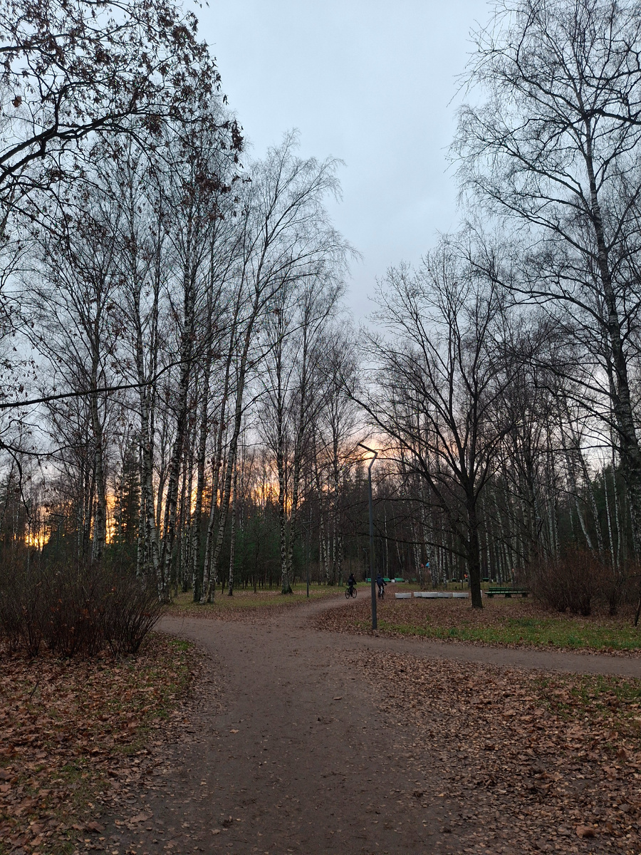 В парке Сосновка в четверг, получилась небольшая прогулка, пока ждала внука с занятий.