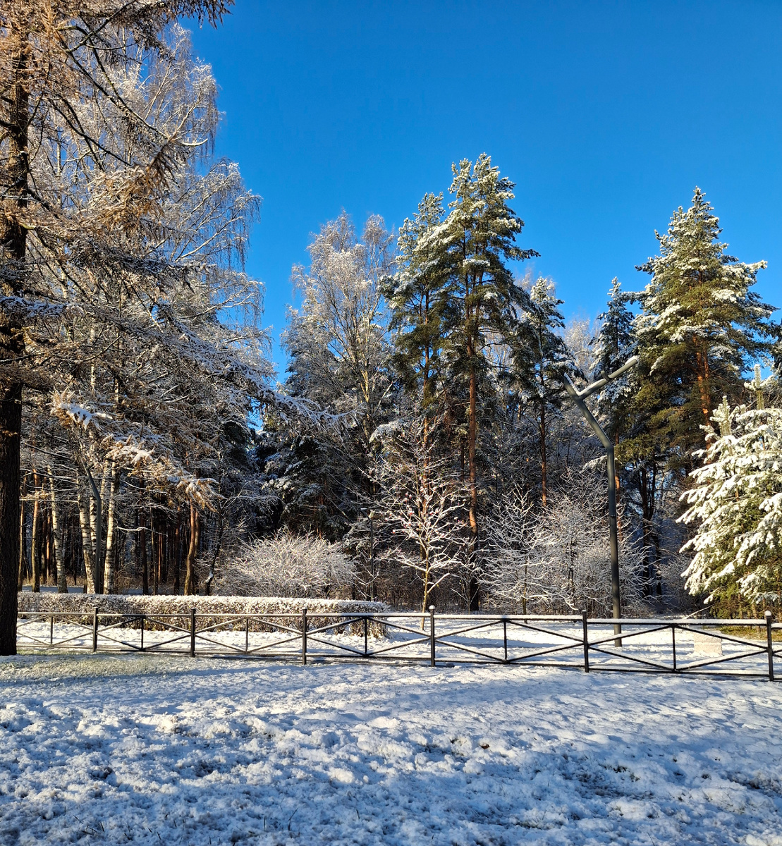 В парке Сосновка в субботу после ночного снегопада,  но сегодня снег уже почти весь растаял.