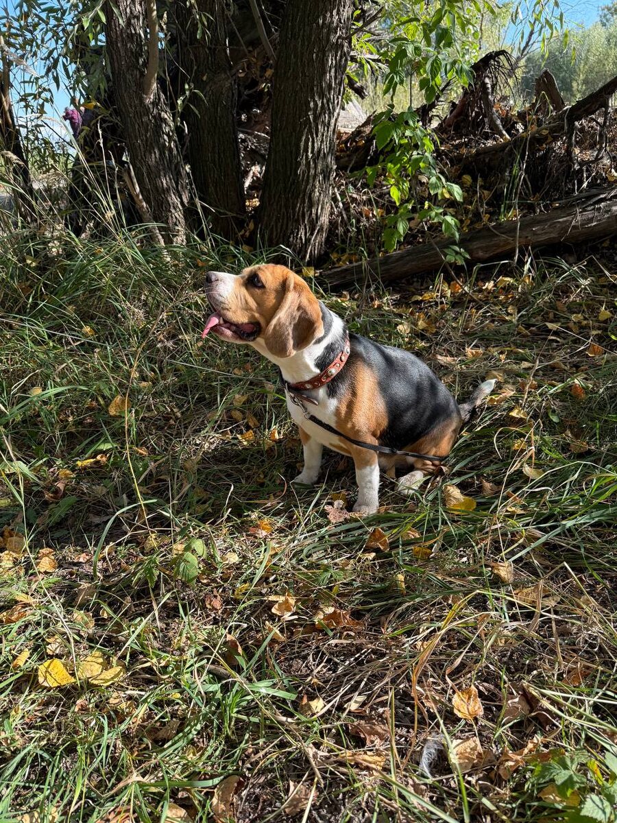 на прогулке