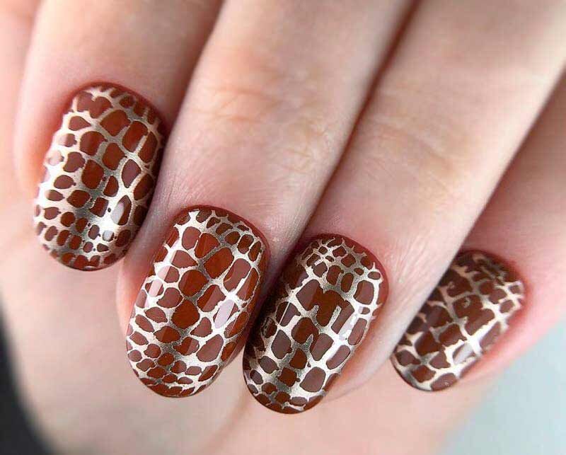 *Фото из открытых источников