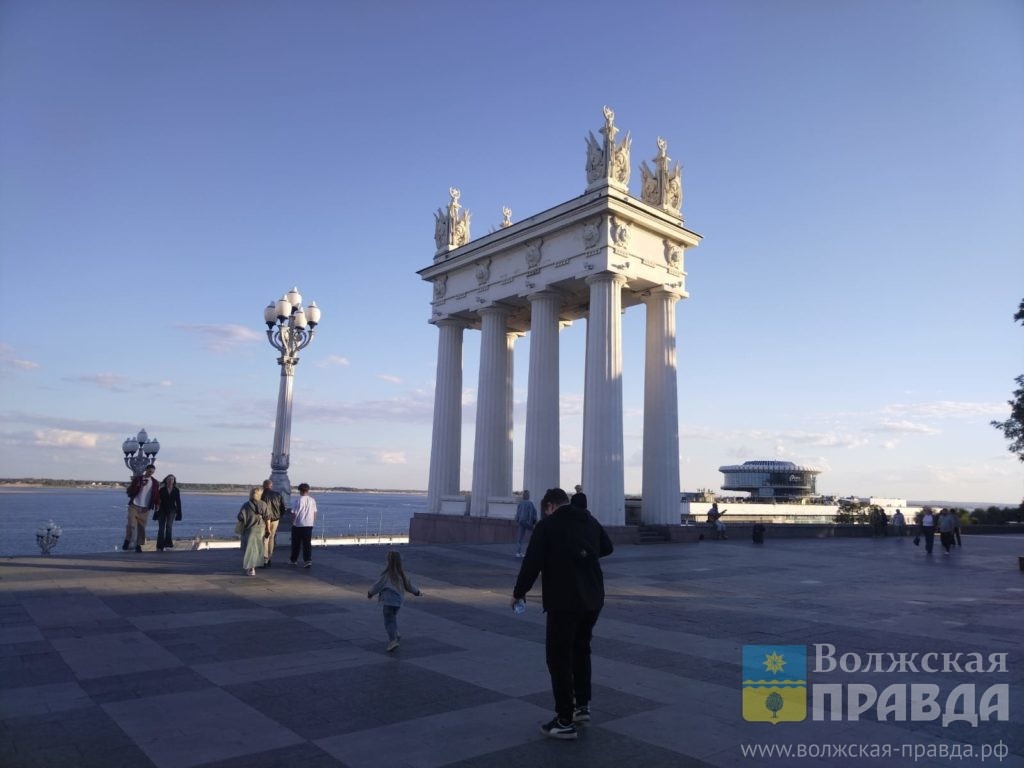     Лежала на асфальте и дёргалась: в Волгограде машина на медленной скорости проехала по собаке
