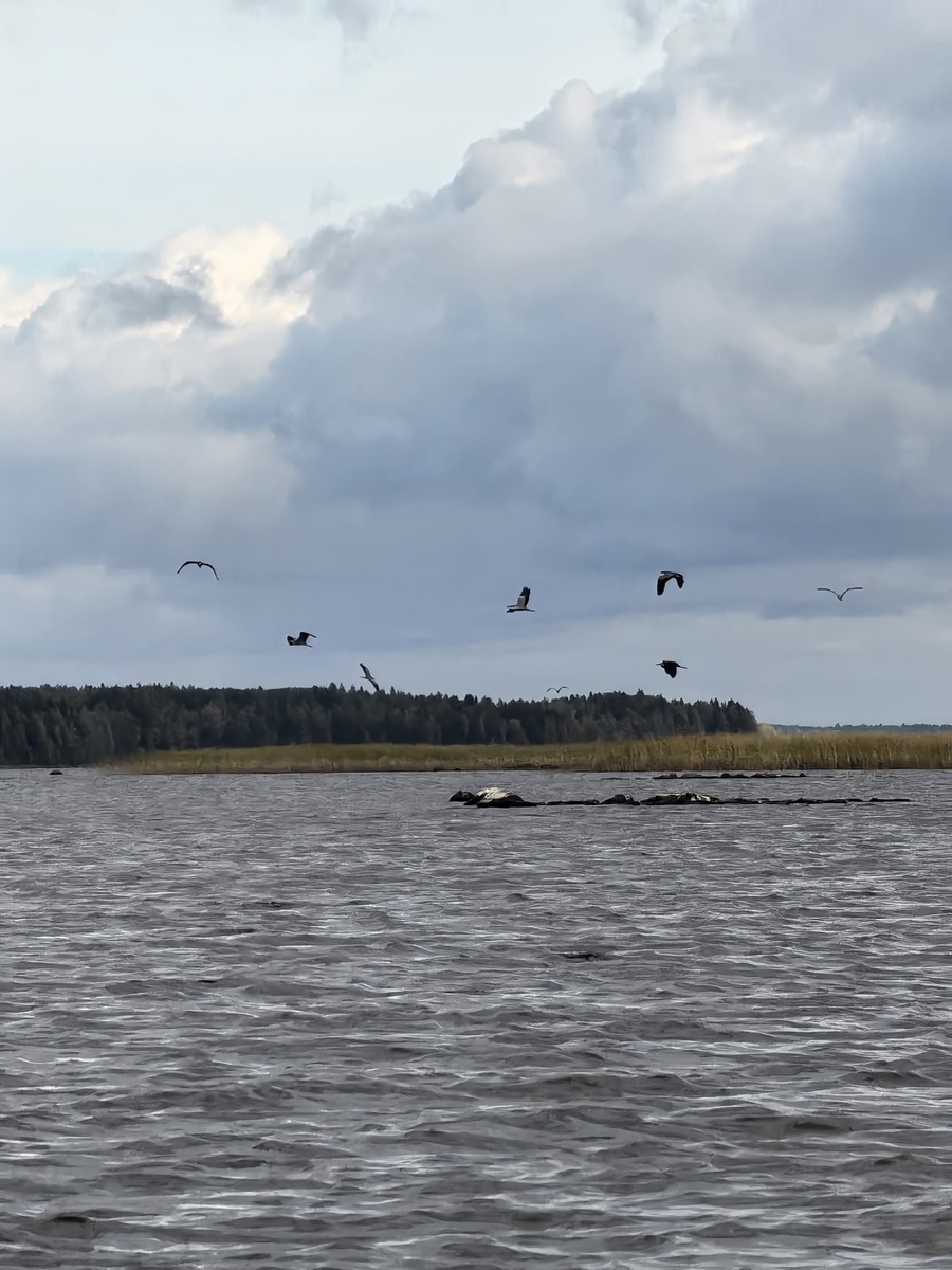    Национальный парк «Водлозерский»