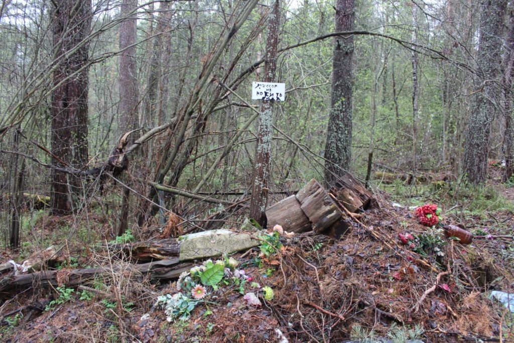    Фото: kologriv.smi44.ru