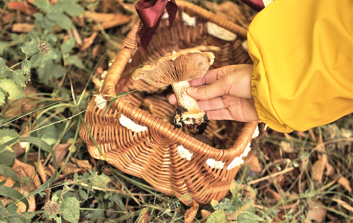 Фото: Евгений Летов