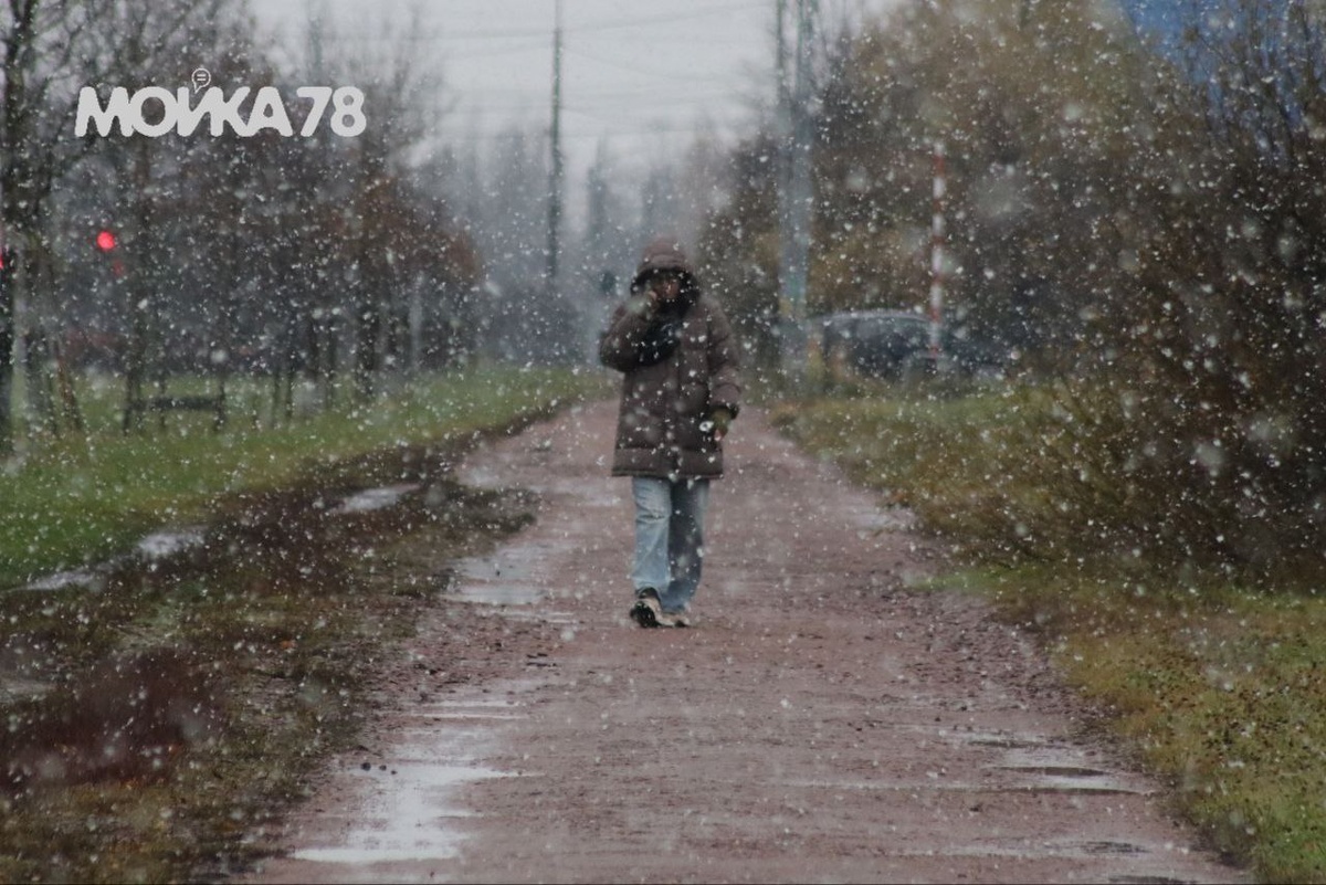    Фото: Мойка78