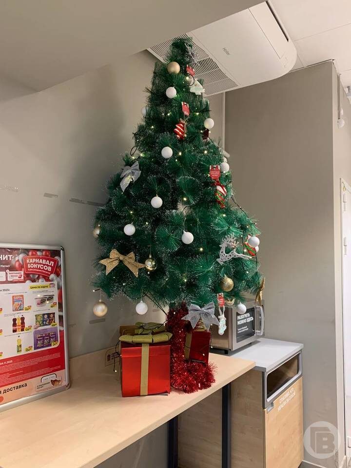    Фото: "Городские вести"