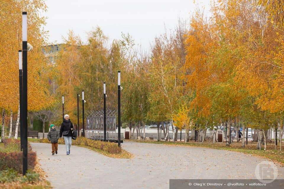   Фото: Олег Димитров / "Городские вести"