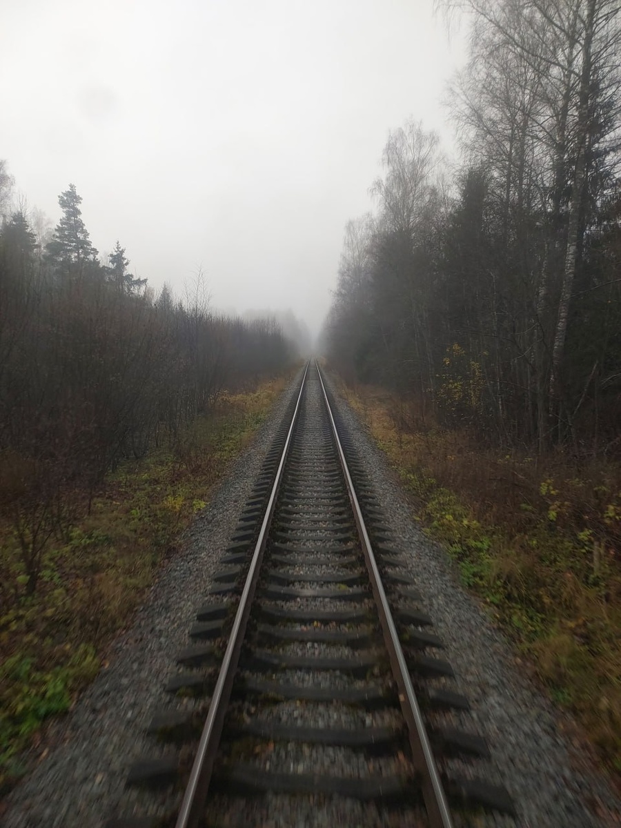 Вид из тамбура последнего вагона