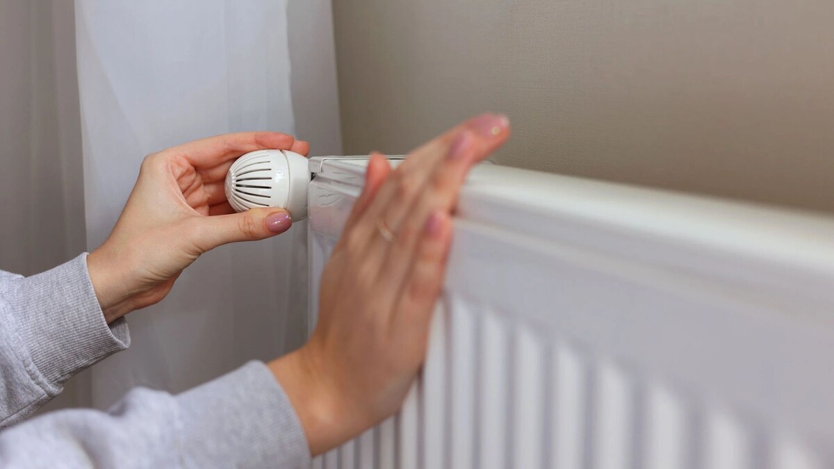    Фото: Fotomoment001/Shutterstock/Fotodom