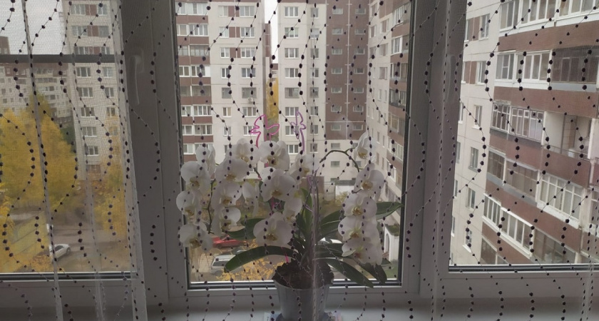    Подоконник больше не холодный, и перестало сквозить из щелей и стыков: 3 шага и дома тепло даже в - 40