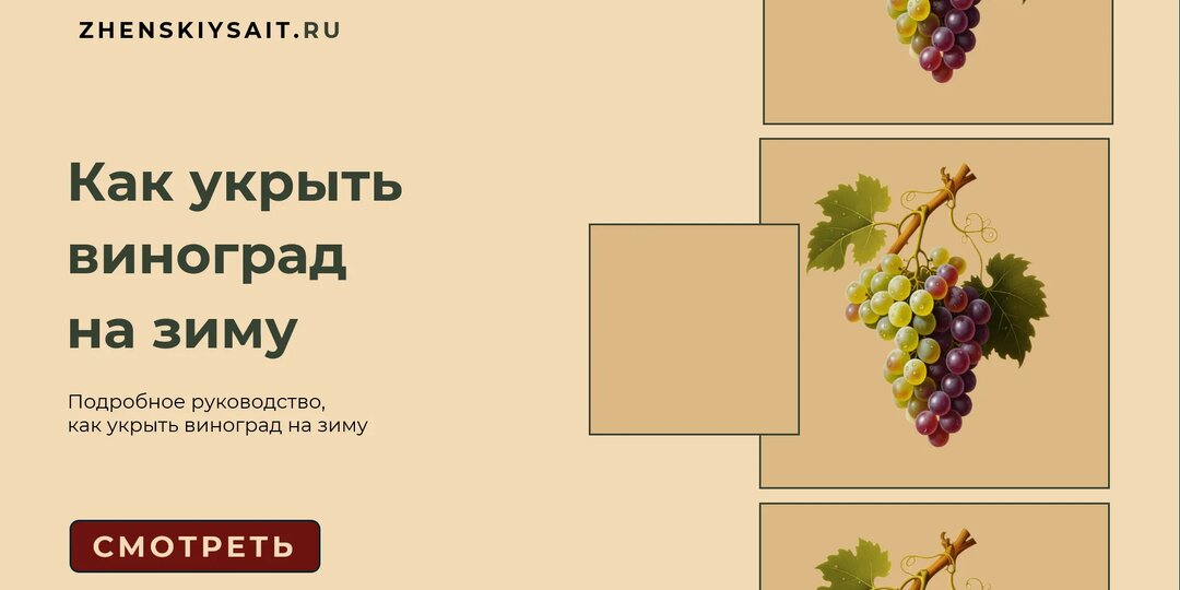 Как правильно укрыть виноград на зиму