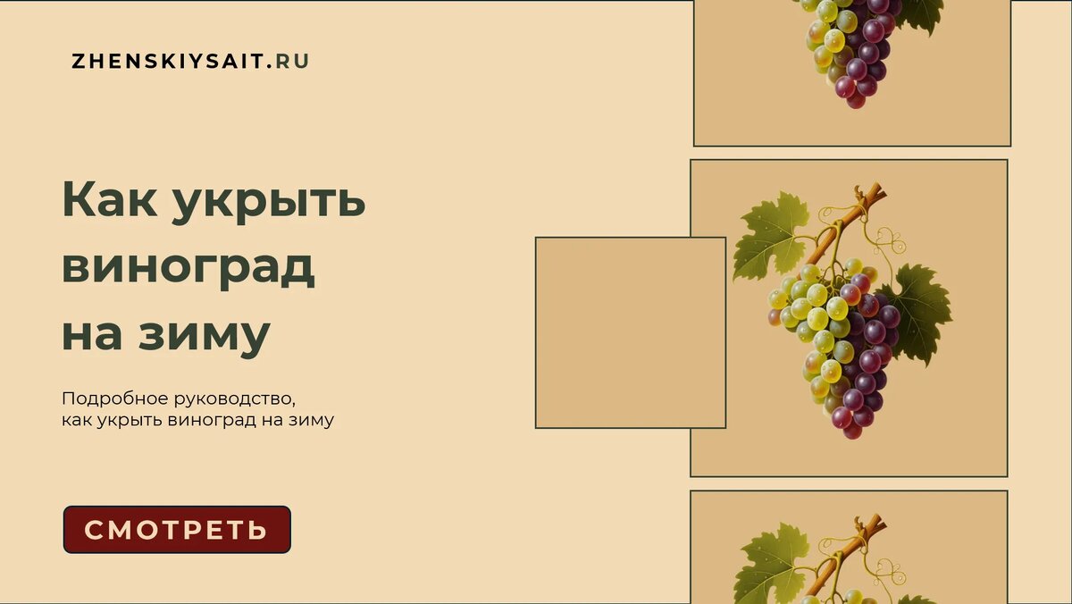 Сейчас мы с вами не спеша, по полочкам разложим, как отправить этого южанина в зимнюю спячку так, чтобы он проснулся бодрым и полным сил.
