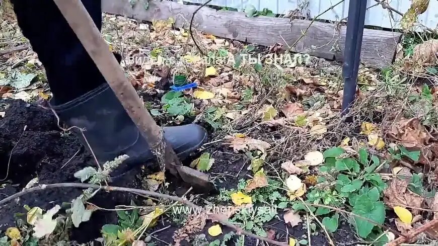 Первый способ можно назвать «по-старинке» — это надежная прикопка землей.