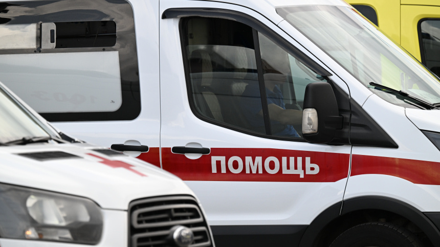    Фото: © РИА Новости/Пелагия Тихонова