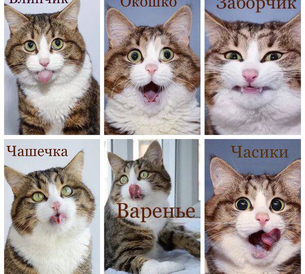 Логопед - создатель человека.