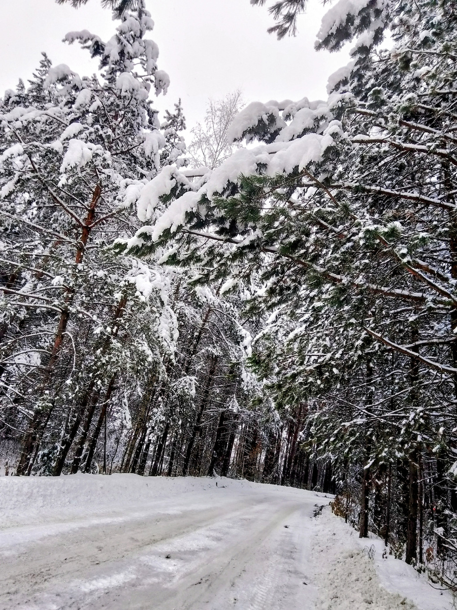 Красота на въезде в общество