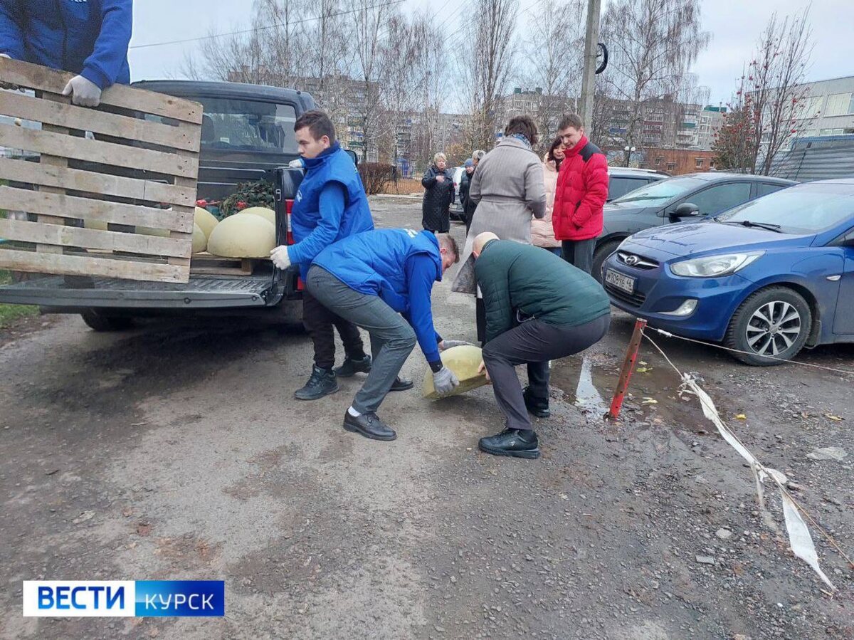    В Курске возле школы №54 установили бетонные полусферы